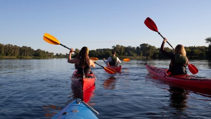 Kayaking in Kochi