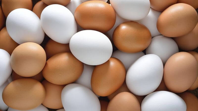 Is eating eggs every day good for your kids