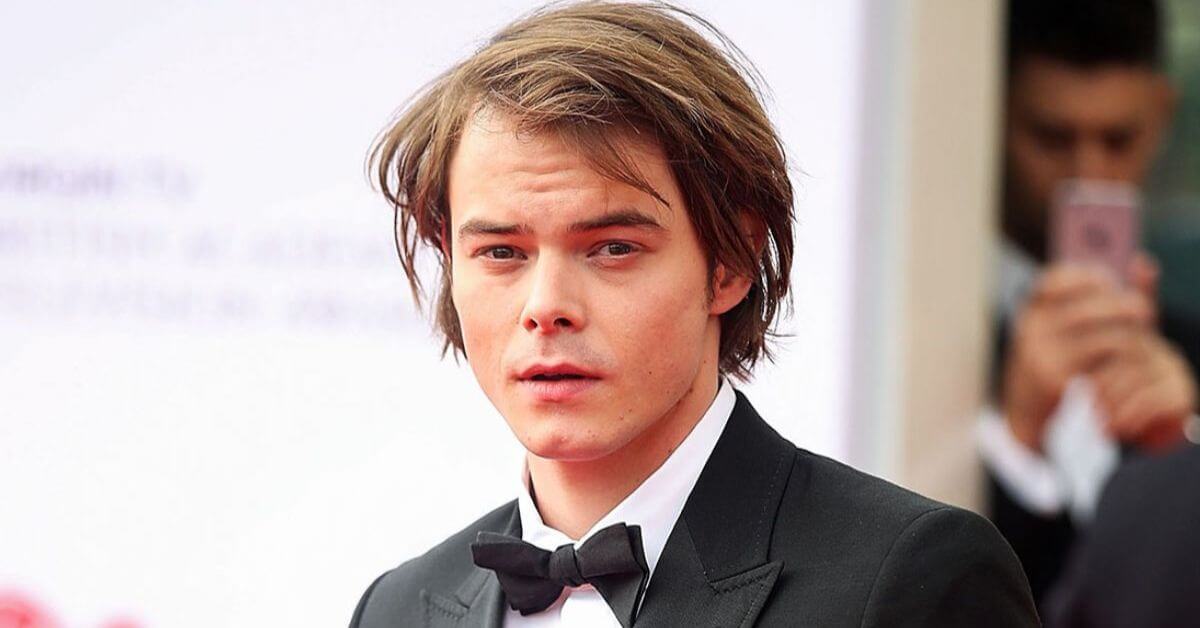 Archie Heaton: Everything To Know About Charlie Heaton's Son